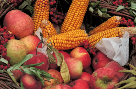 Herbstmarkt im Kulmbacher Mönchshof