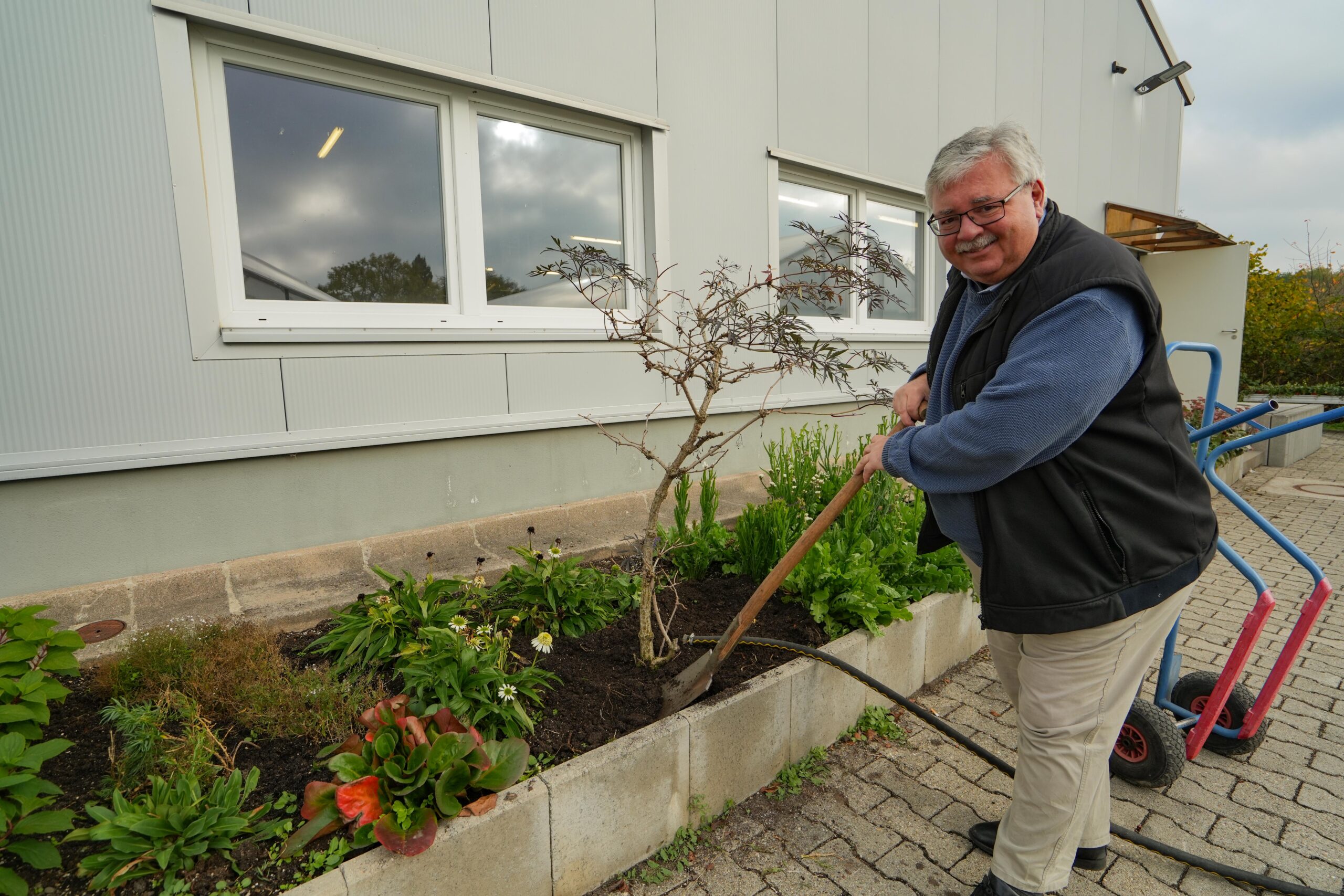 Gartentipp im Oktober: Warum jetzt die beste Zeit zum Sträucherpflanzen ist